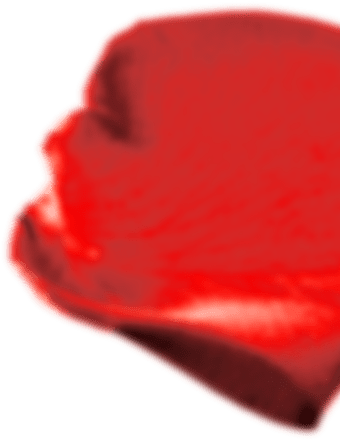 rose pedal