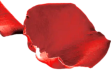 rose pedal