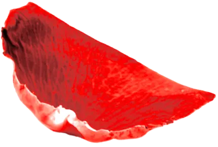 rose pedal