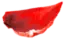 rose pedal