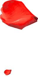 rose pedals