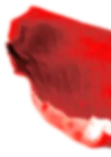 rose pedal
