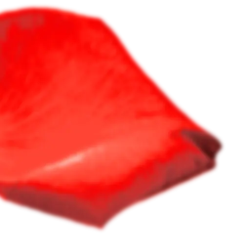 rose pedal